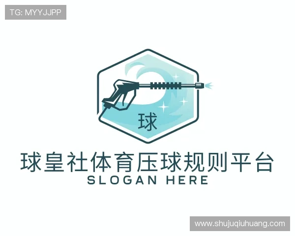 介绍球皇社体育压球网官网jd