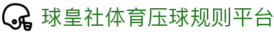 球皇数据查询平台_足球数据查询与球队比赛结果赛程速查